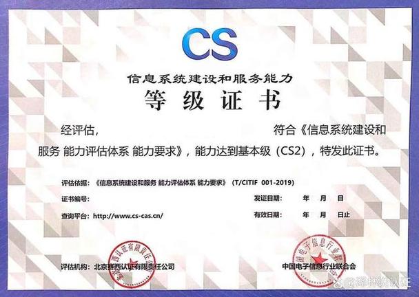 cs信息系统建设和服务能力评估